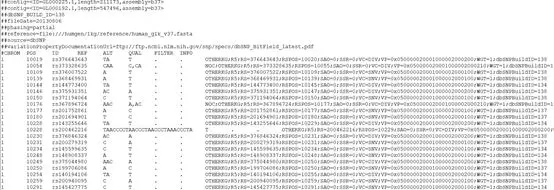 必须了解的4种文件格式fasta、fastq、sam、VCF - 图4