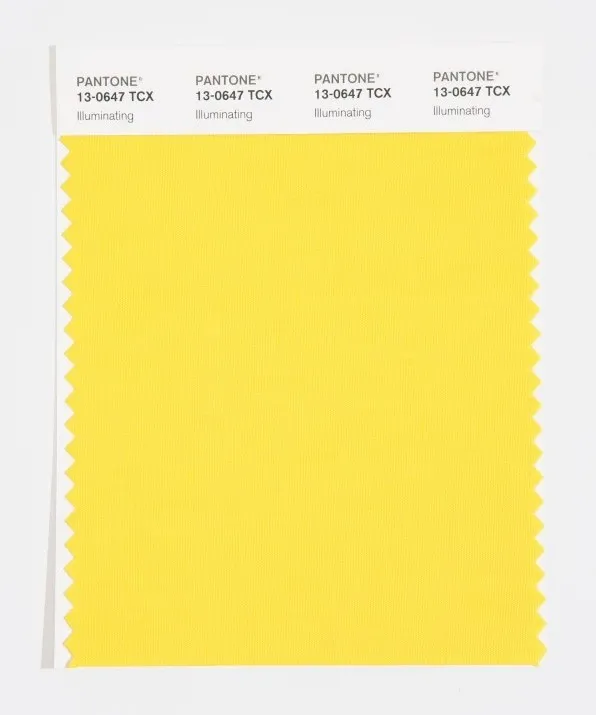 2021-Pantone发布双流行色：亮丽黄和极致灰 - 图13