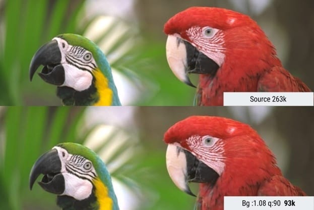 图像优化自动化实用指南 - 图25