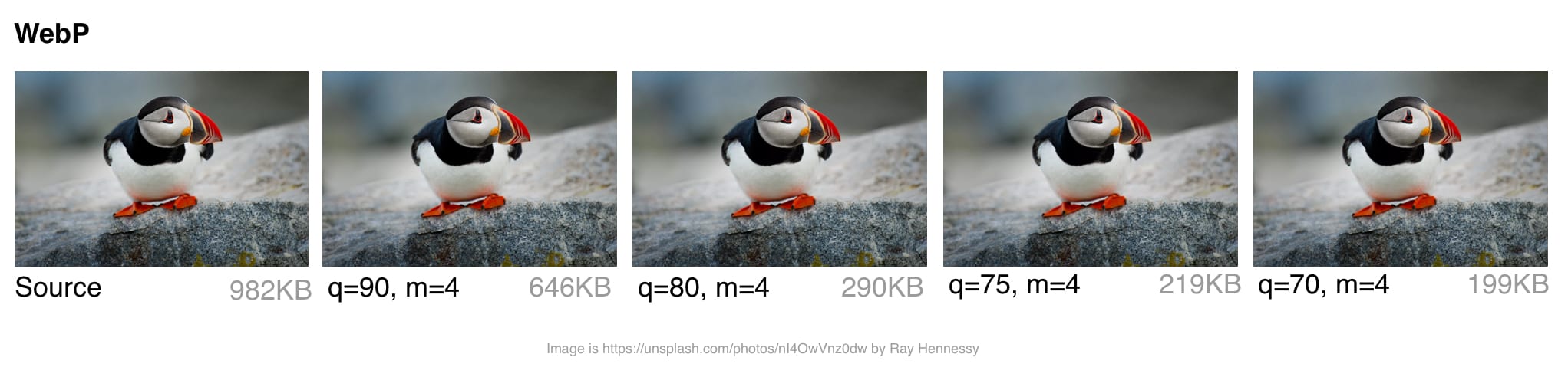 图像优化自动化实用指南 - 图27