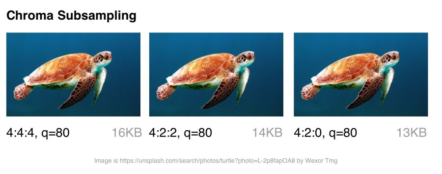 图像优化自动化实用指南 - 图18