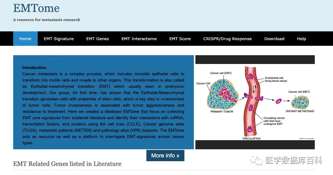 肿瘤EMT特征在线分析网站 - 图1