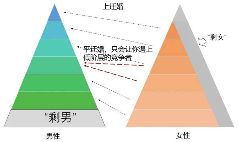 为什么“剩男”大多因为穷，“剩女”却什么类型都有？ - 图4