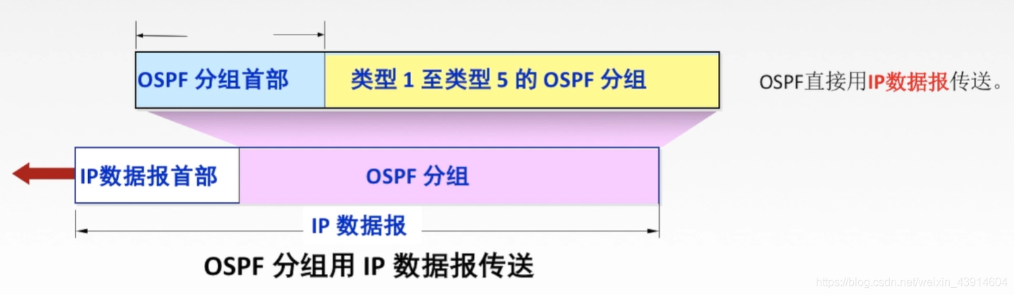 4.5 计算机网络之网络层路由选择协议（自治系统AS、RIP、OSPF、BGP） - 图17
