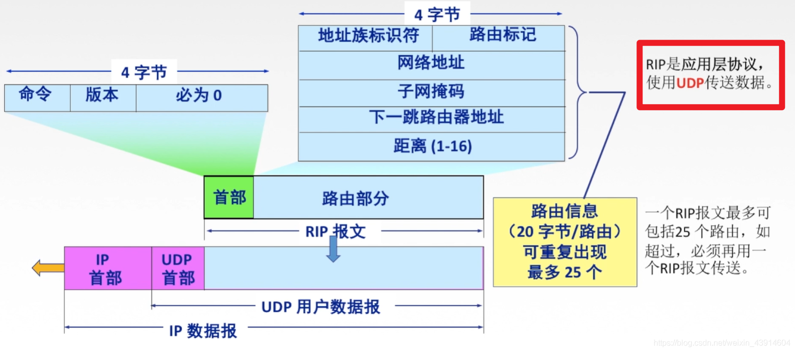 4.5 计算机网络之网络层路由选择协议（自治系统AS、RIP、OSPF、BGP） - 图7