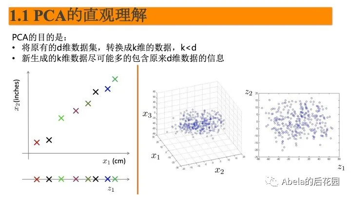 PCA和LDA详解 - 图6