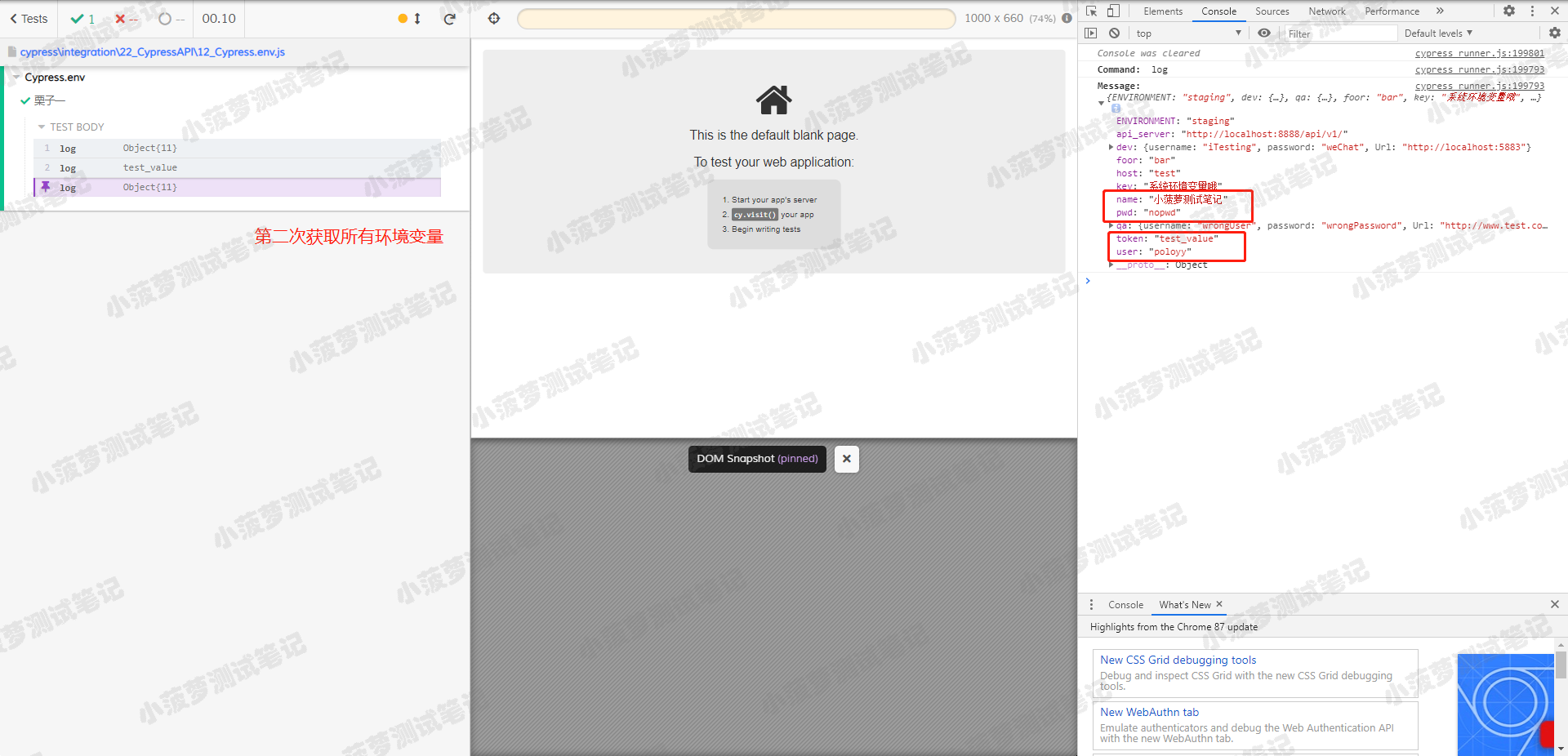 Cypress系列（92）- Cypress.env 命令详解 - 图3