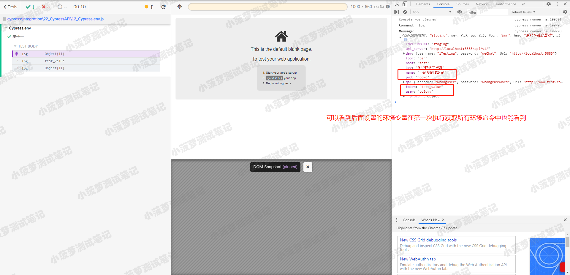 Cypress系列（92）- Cypress.env 命令详解 - 图2