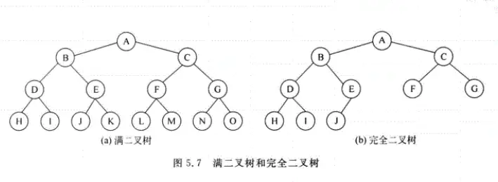数据结构基础学习之(树与二叉树) - 图7