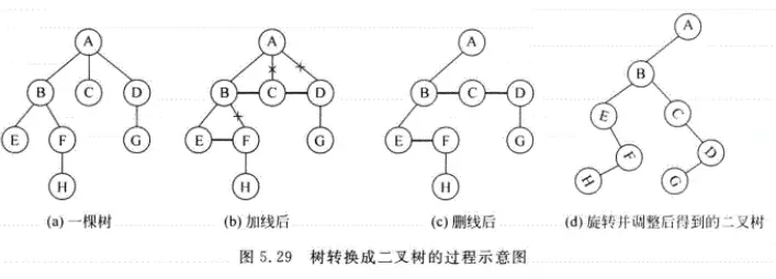 数据结构基础学习之(树与二叉树) - 图19