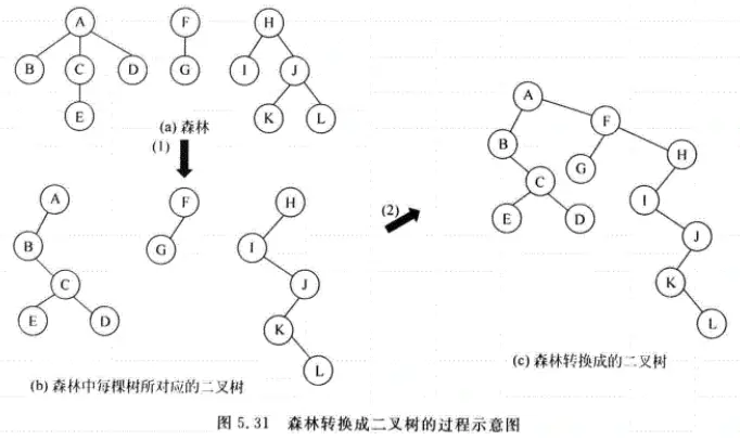 数据结构基础学习之(树与二叉树) - 图20