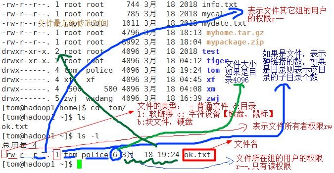 前端Linux入门经典教程-（有课程视频） - 图221