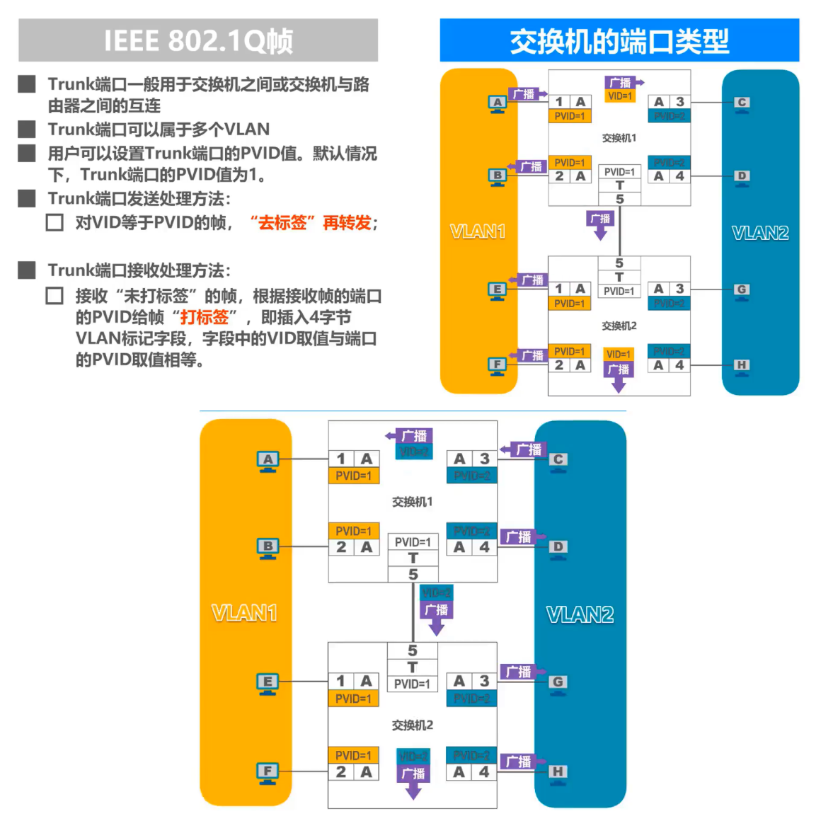 虚拟局域网VLAN概述 - 图9