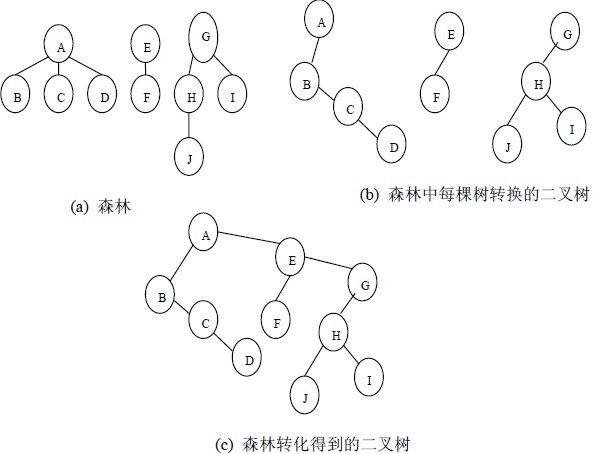 数据结构（十二）树的遍历和表示法 - 图11