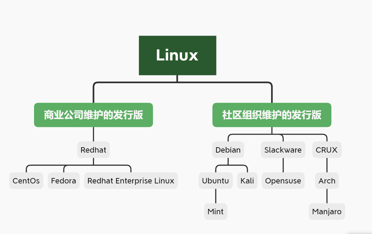 Linux分支.png