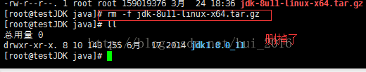 Linux环境搭建-安装下载jdk - 图11