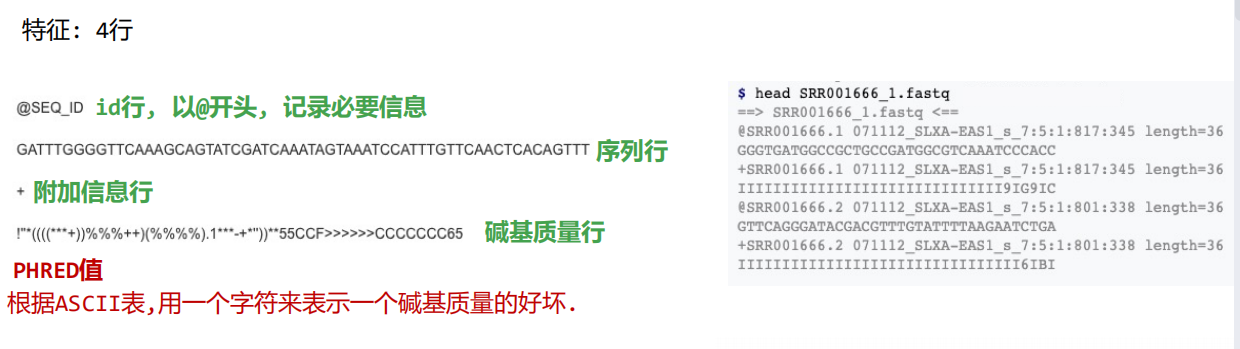 QQ图片20210425224113.png