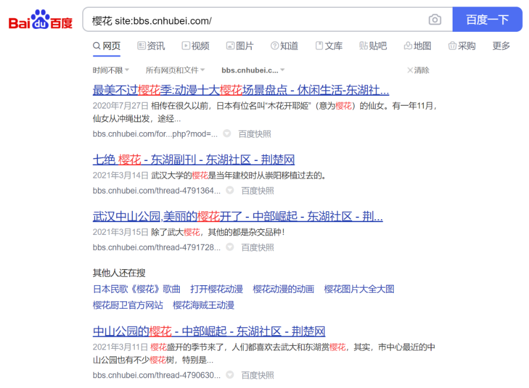 如何用好搜索技巧中的 site 命令 ? - 图4
