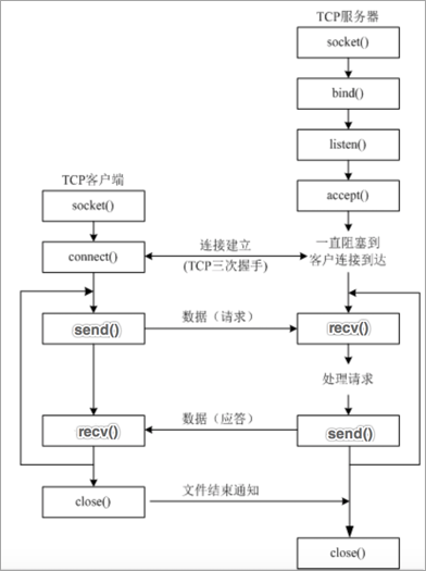 TCP通信模型