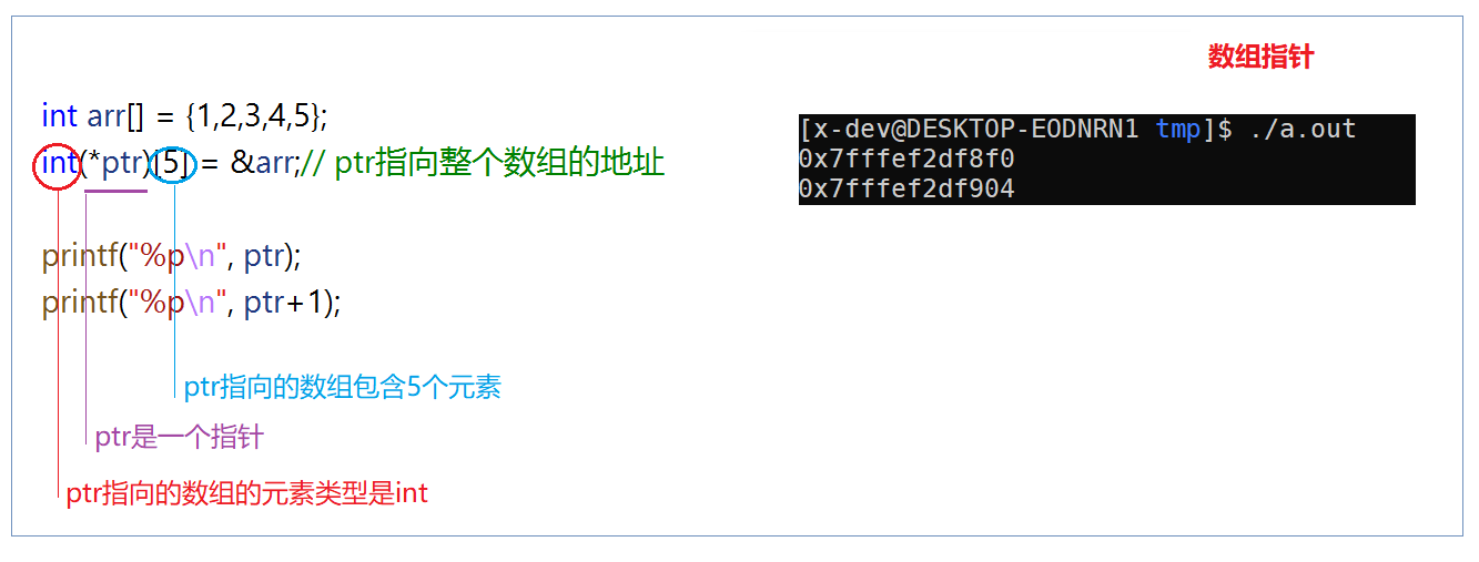 数组指针.png