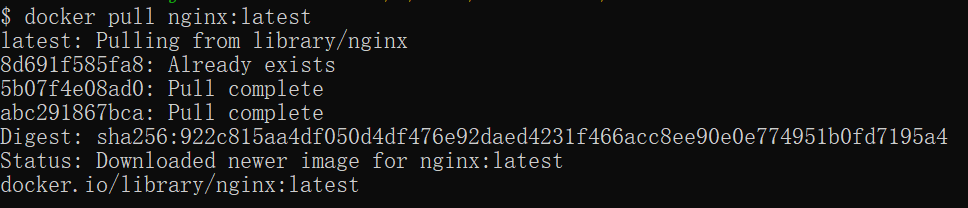 Docker 安装 Nginx - 图3