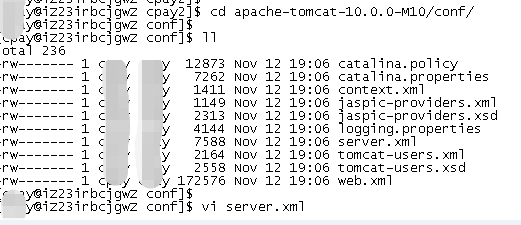 Tomcat10安装与配置图文教程 - 图5