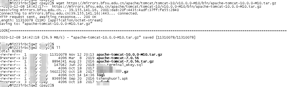 Tomcat10安装与配置图文教程 - 图3