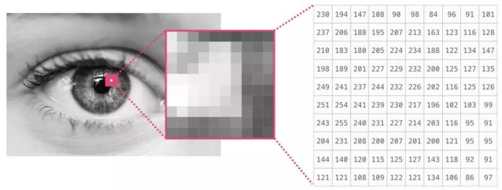 图解NumPy，这是理解数组最形象的一份教程了 - 图29