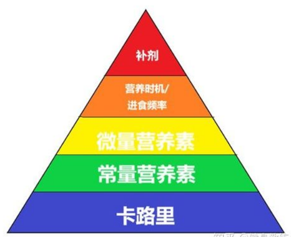 运动补剂 - 图1