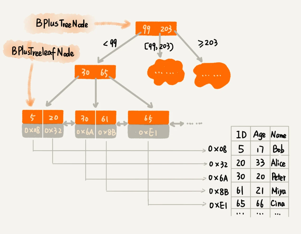 48 _ B 树：MySQL数据库索引是如何实现的？ - 图6