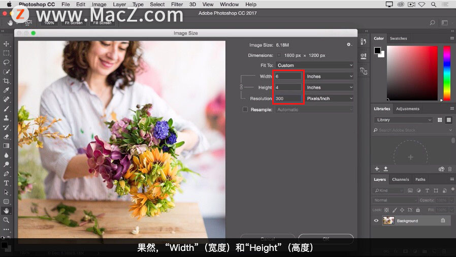 Photoshop 入门教程 如何更改图像分辨率？ - 图10
