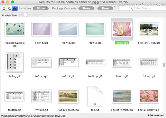 Find Any File for Mac(文件搜索) v2.3.3b1激活版 - 图2