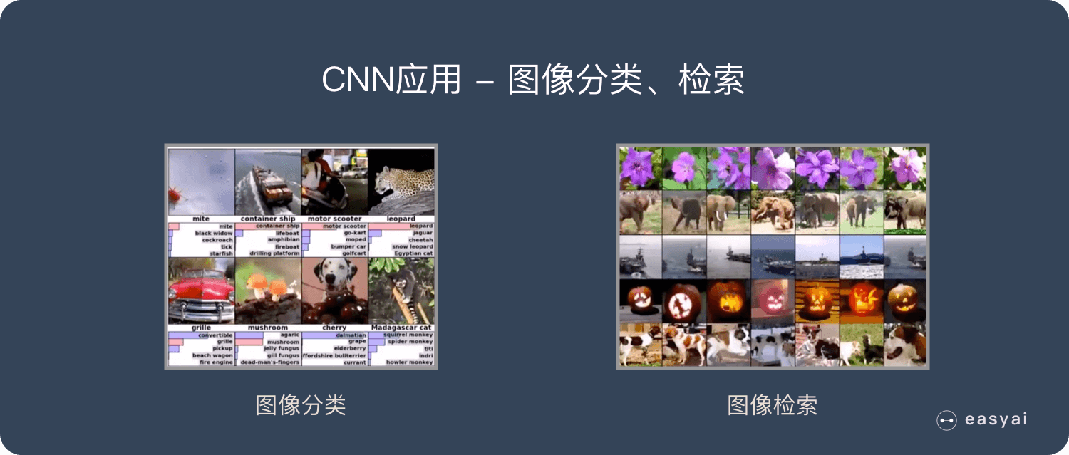 CNN - 图11