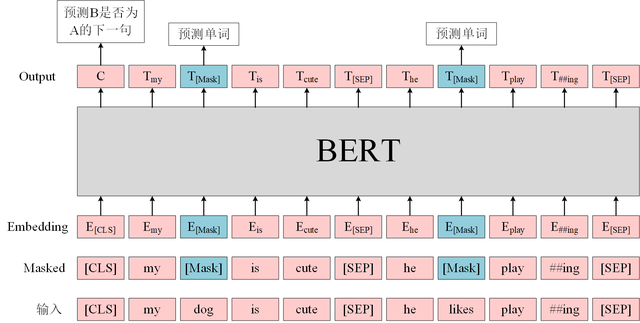 BERT模型 - 图5