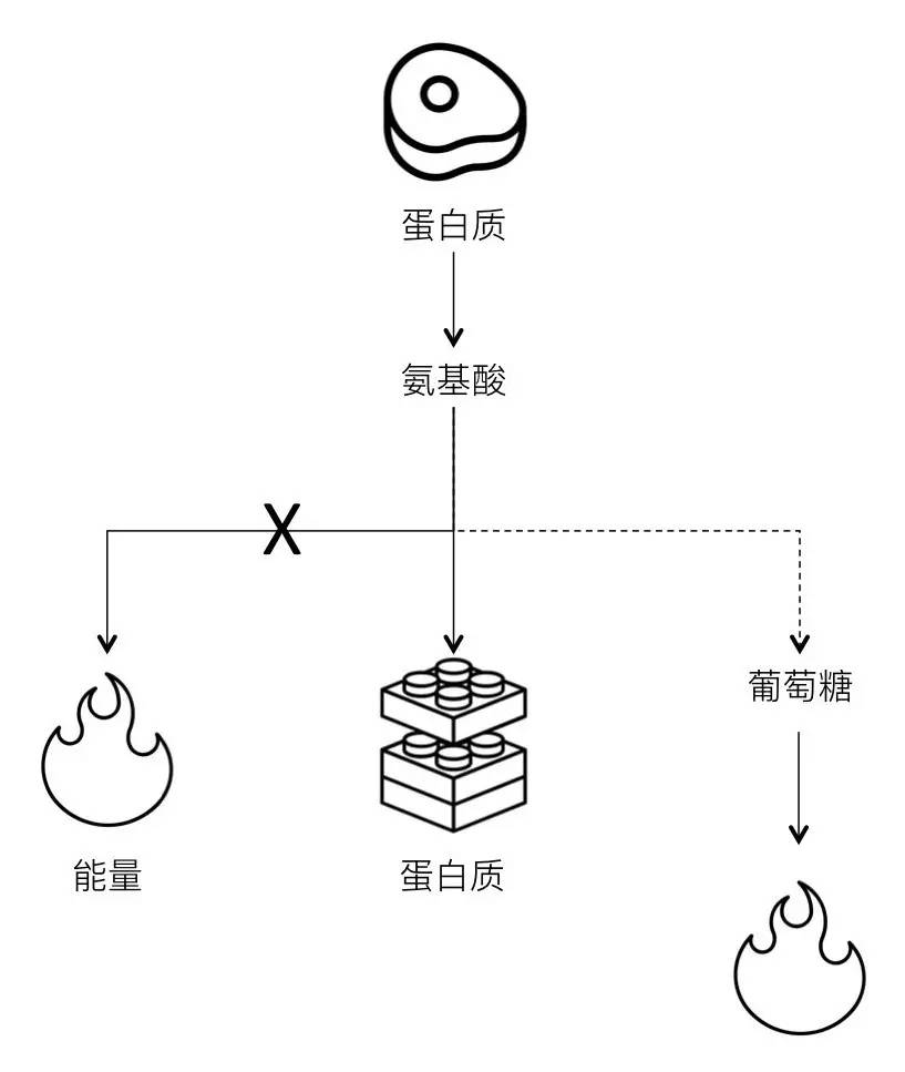 轻断食&间歇性断食杂谈（观点搬运） - 图5