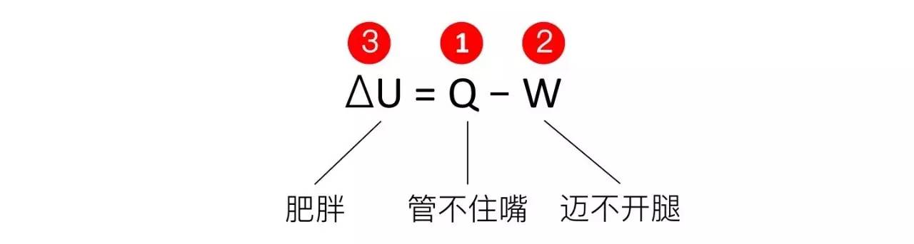 轻断食&间歇性断食杂谈（观点搬运） - 图28