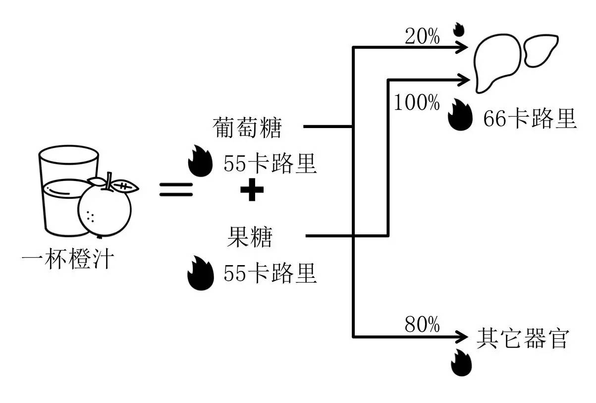 轻断食&间歇性断食杂谈（观点搬运） - 图36