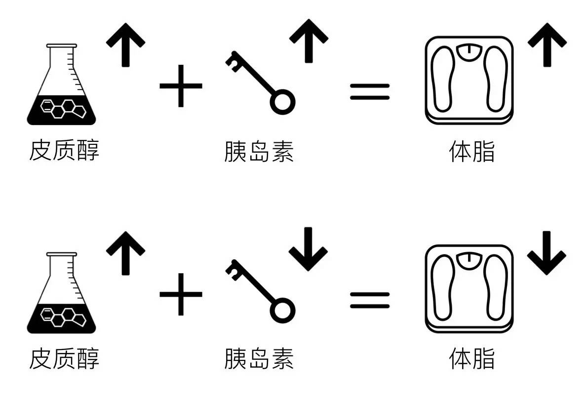 轻断食&间歇性断食杂谈（观点搬运） - 图41