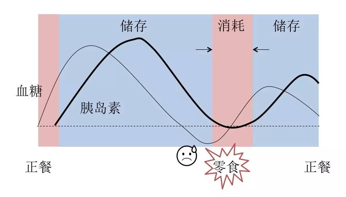 轻断食&间歇性断食杂谈（观点搬运） - 图19