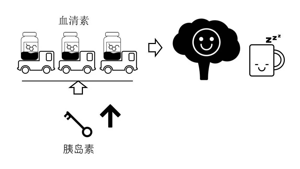 轻断食&间歇性断食杂谈（观点搬运） - 图25