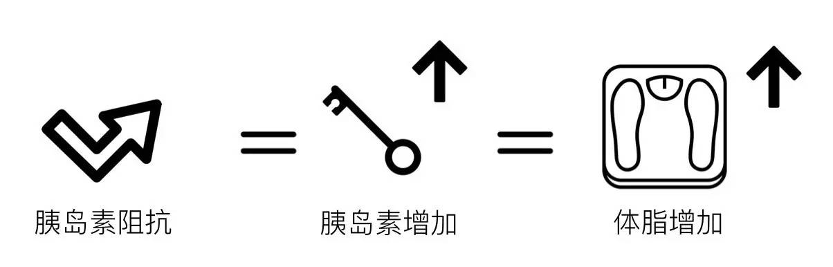 轻断食&间歇性断食杂谈（观点搬运） - 图15