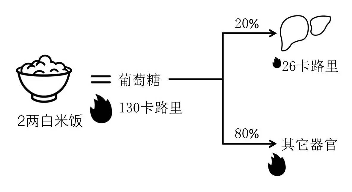 轻断食&间歇性断食杂谈（观点搬运） - 图33