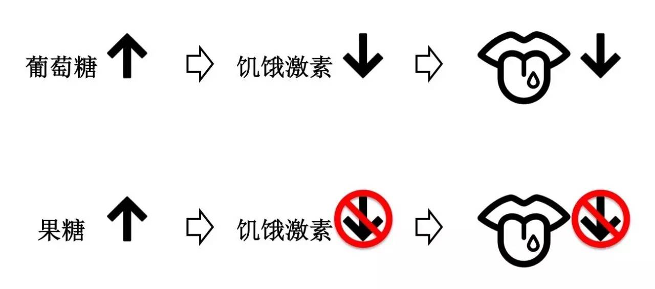 轻断食&间歇性断食杂谈（观点搬运） - 图38