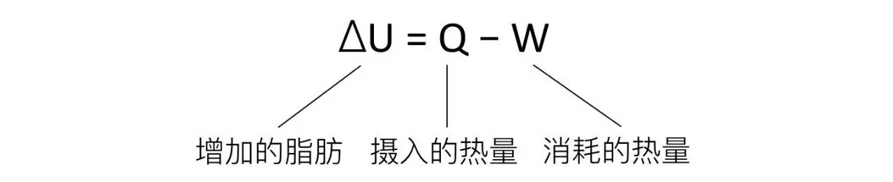 轻断食&间歇性断食杂谈（观点搬运） - 图27