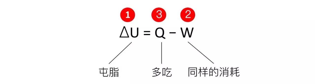 轻断食&间歇性断食杂谈（观点搬运） - 图29