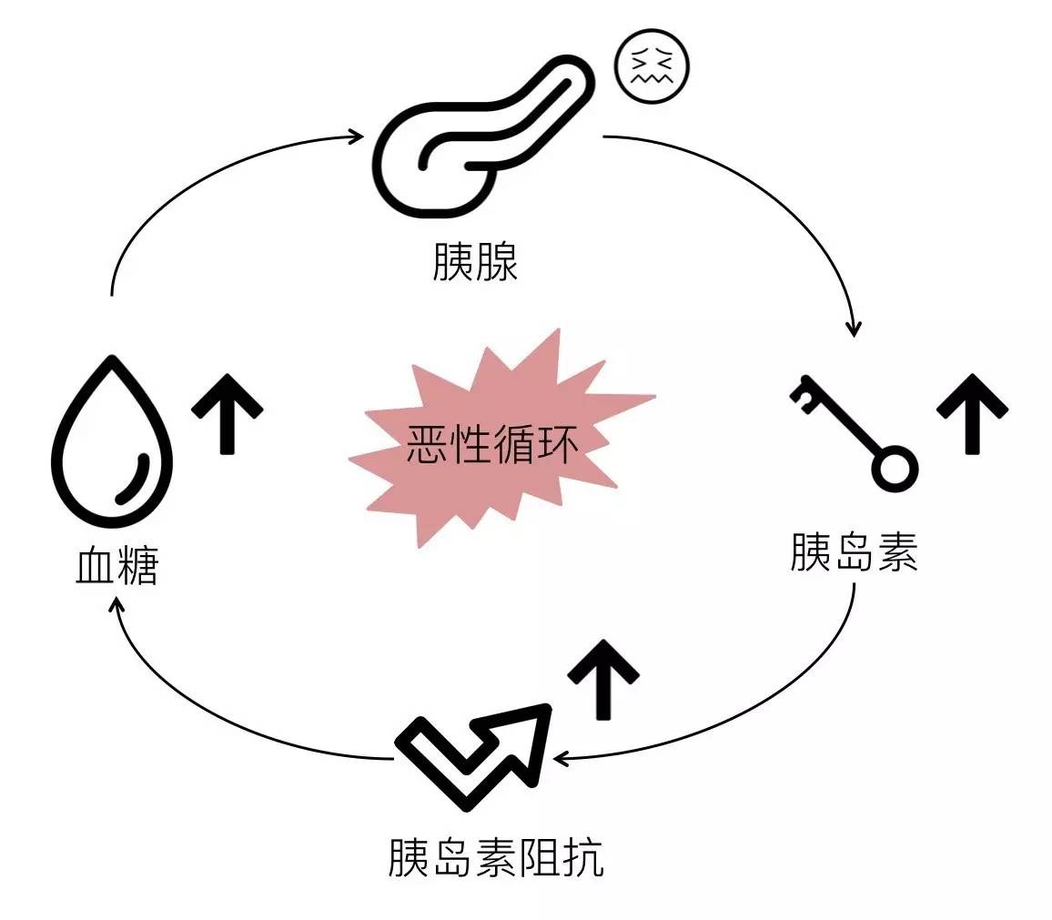 轻断食&间歇性断食杂谈（观点搬运） - 图14