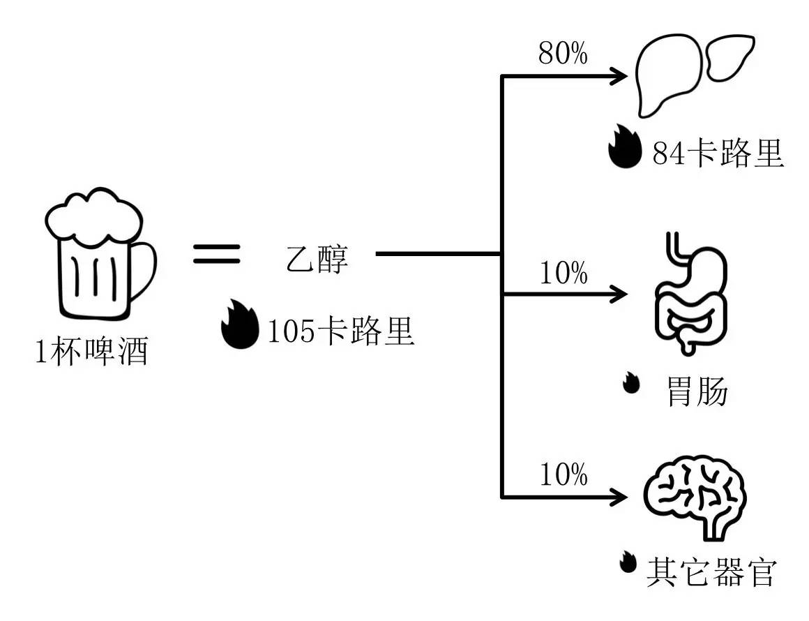 轻断食&间歇性断食杂谈（观点搬运） - 图34