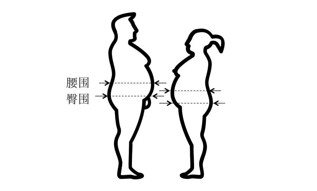 轻断食&间歇性断食杂谈（观点搬运） - 图16