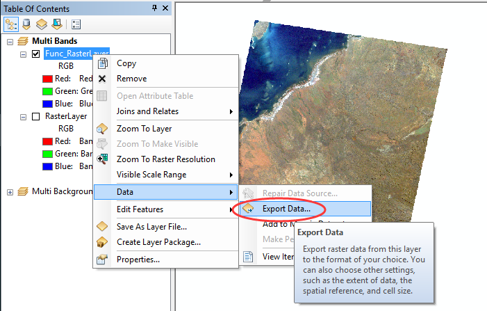 12.arcgis 去除影像黑色边框（nodata） - 图20