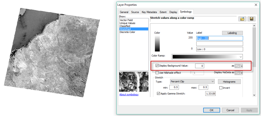 12.arcgis 去除影像黑色边框（nodata） - 图13